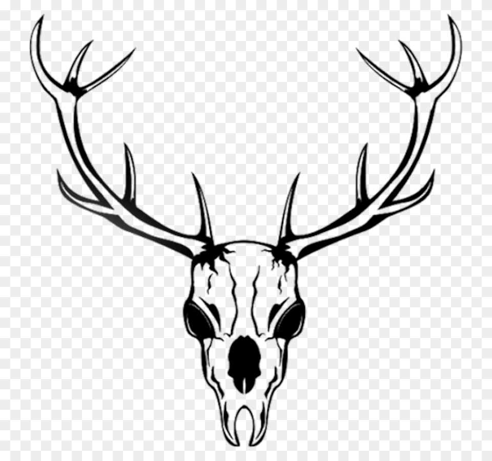 Yeti Oz Tumbler Etchxpress, Antler, Animal, Deer, Mammal Png