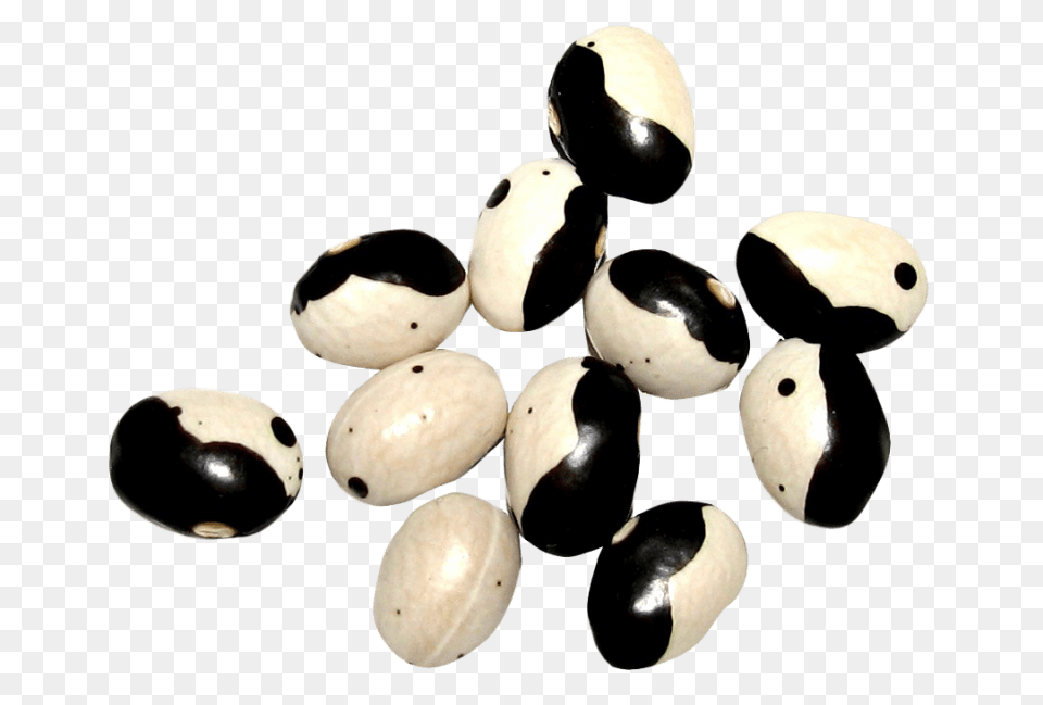 Yin Yang Beans, Food, Produce, Bean, Plant Png Image