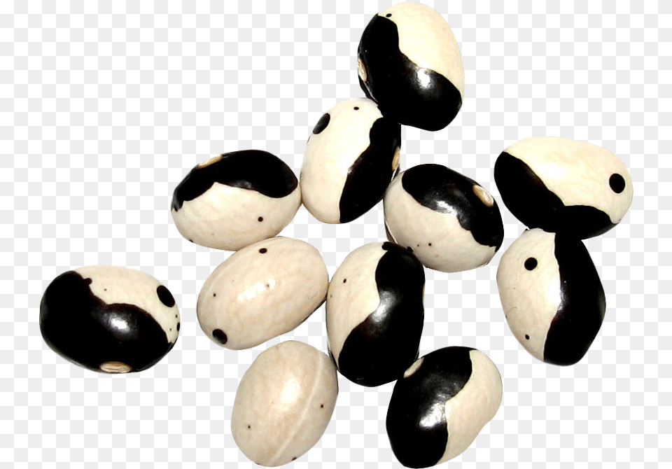 Yin Yang Beans Yin And Yang, Bean, Food, Plant, Produce Png Image