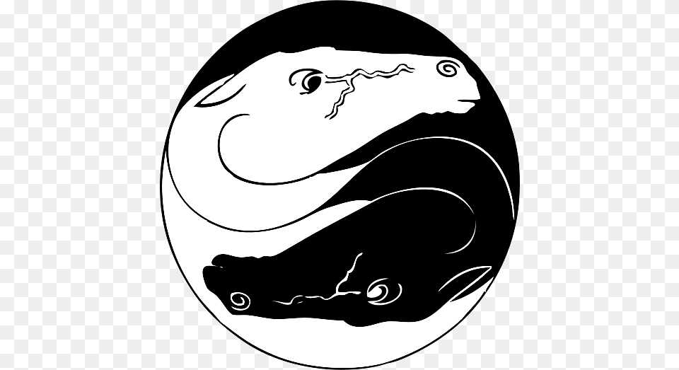 Yin Yang Horses, Animal, Fish, Sea Life, Shark Png