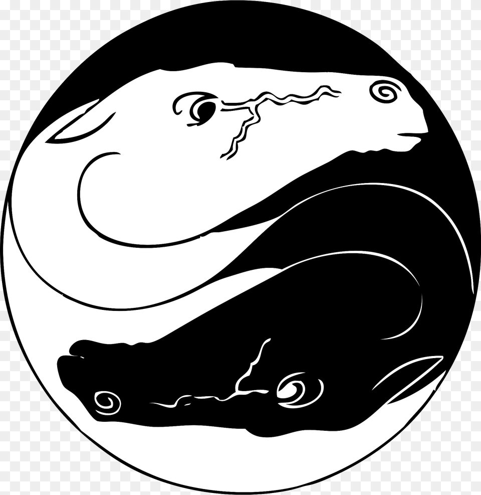 Yin Yang Horses Clipart, Animal, Fish, Sea Life, Shark Free Png Download