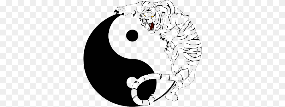 Yin Yang Tiger Psd Tiger Yin Yang Symbol, Art, Drawing, Stencil Free Png