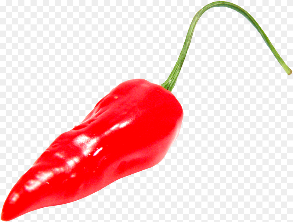 Ykle Chili Con Carne Bell Pepper Chili Pepper Portable Chilli Pepper, Food, Produce, Plant, Vegetable Free Png
