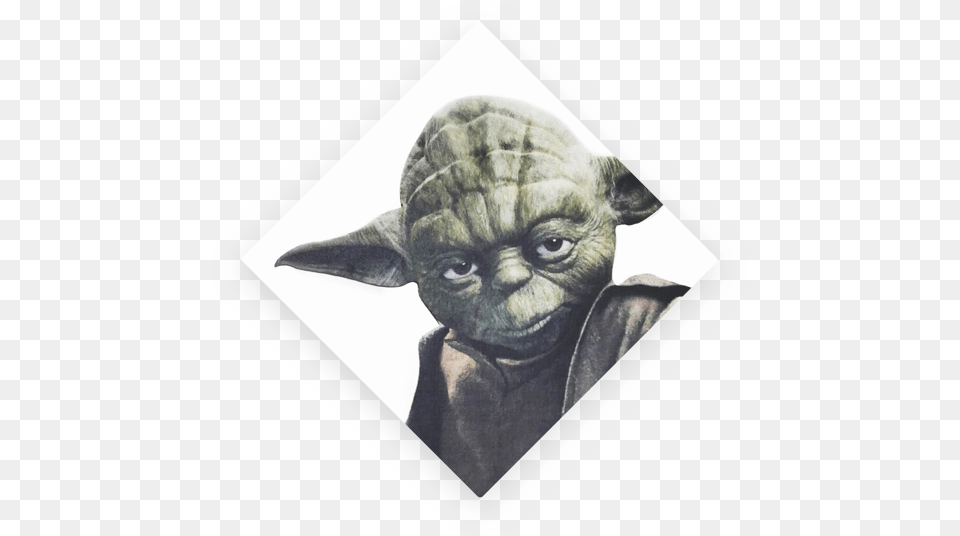 Yoda Face Download Star Wars Paper Napkins 20 Pack, Alien, Head, Person, Photography Png