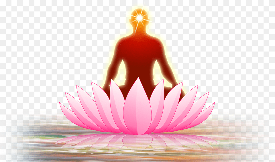 Yoga, Plant, Flower, Art, Graphics Free Png Download