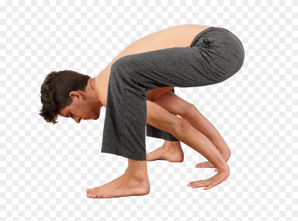 Yoga, Adult, Person, Man, Male Png