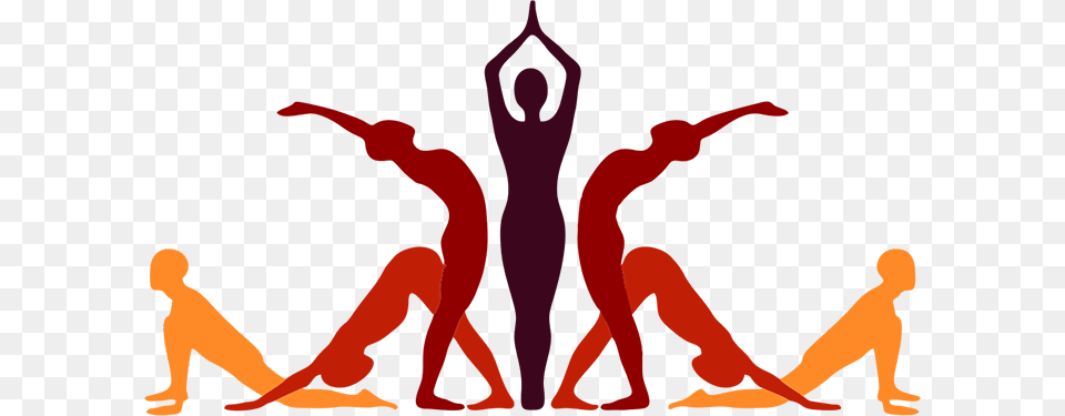 Yoga Pose Background Photo, Adult, Female, Person, Woman Png Image