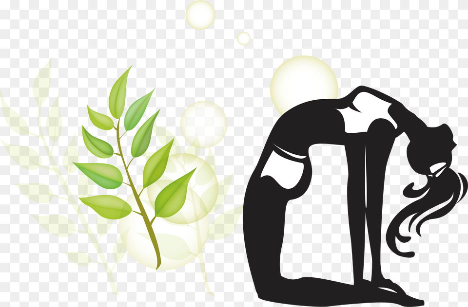 Yoga Silhouette Female Physical Fitness Asana, Herbal, Herbs, Plant, Person Free Png