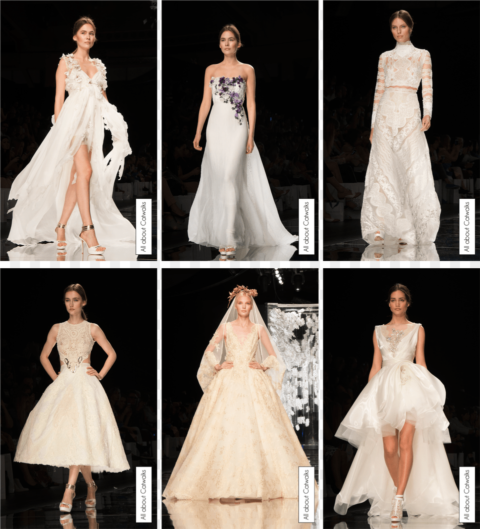 Yolan Gown, Animal, Bird, Beak, Parakeet Png Image