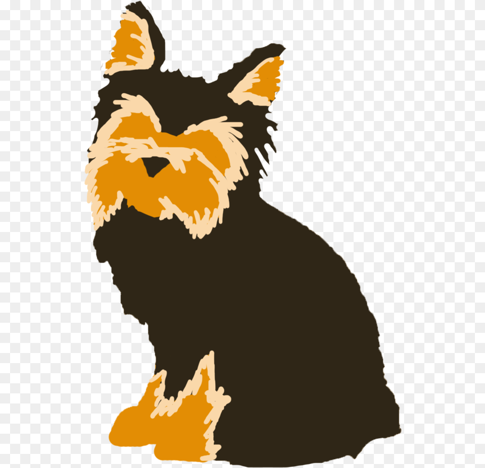 Yorkie, Person, Animal, Canine, Dog Png