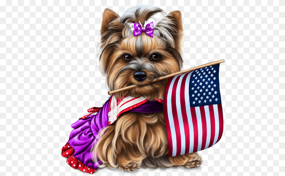Yorkie 4th Of July 2 Fourth Of July Yorkie, Animal, Canine, Dog, Mammal Free Png