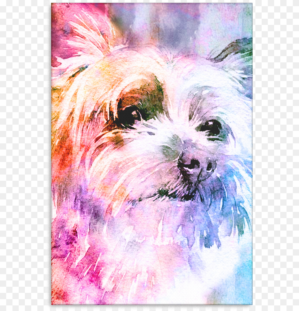 Yorkie Canvas P032 Yorkshire Terrier, Person, Animal, Canine, Mammal Free Png Download