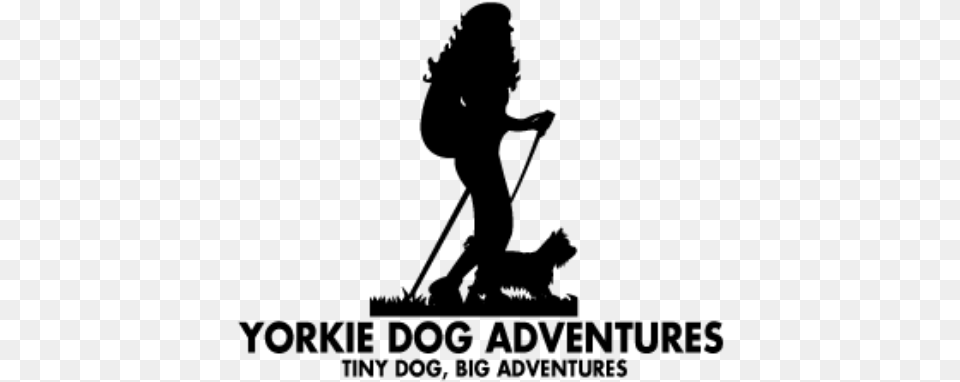 Yorkie Dog Adventures Dog, Gray Png Image