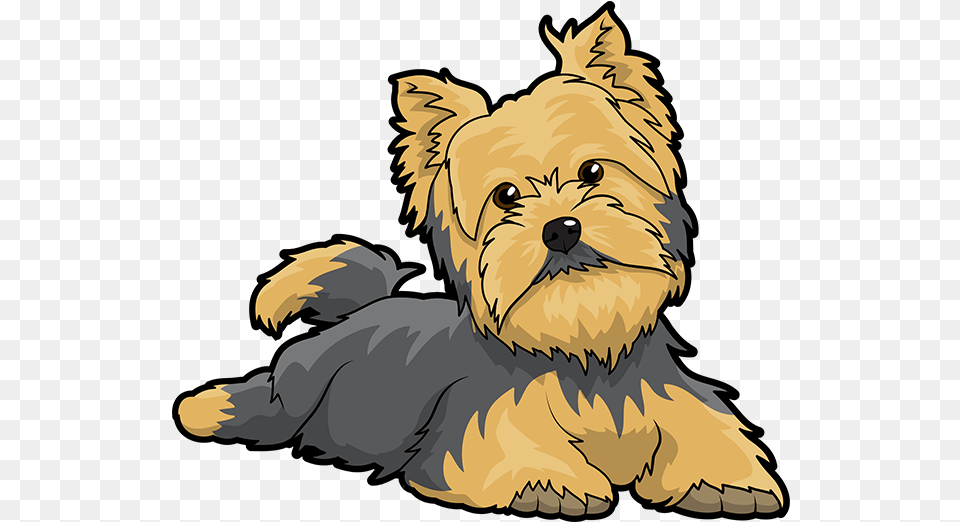 Yorkie Emojis For Dog Lovers Messages Sticker Yorkshire Terrier Clipart, Animal, Canine, Mammal, Pet Free Transparent Png