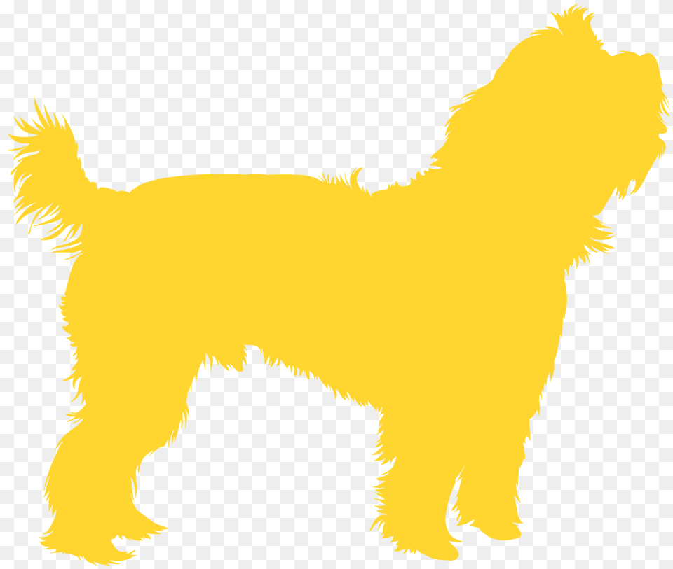 Yorkie Silhouette, Animal, Canine, Mammal, Pet Free Png
