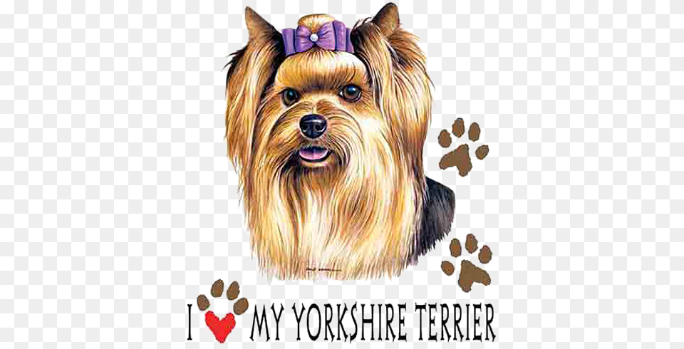 Yorkie T Shirt I Love My Dog, Animal, Canine, Mammal, Pet Png