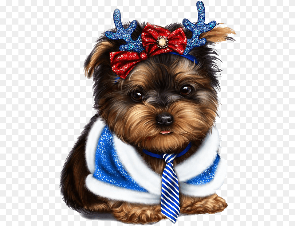 Yorkie Yorkies Yorkshire Terrier Yorkshire Terriers Yorkie Vector, Accessories, Formal Wear, Tie, Animal Free Png Download