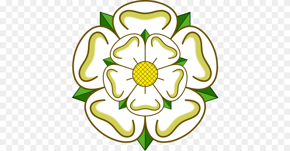 Yorkshire Rose, Daisy, Flower, Plant, Art Png