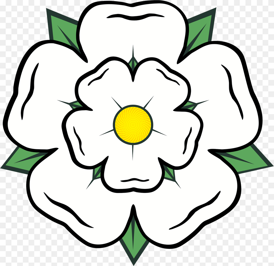Yorkshire Rose Clipart, Anemone, Flower, Plant, Daisy Free Transparent Png