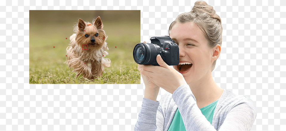 Yorkshire Terrier, Adult, Photography, Person, Woman Png