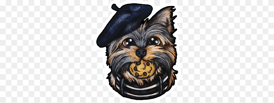 Yorkshire Terrier, Animal, Canine, Mammal, Pet Free Png
