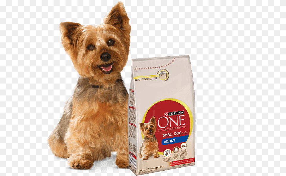 Yorkshire Terrier And Purina One Small Dog Products Purina One Small Dog Food, Animal, Canine, Mammal, Pet Png Image