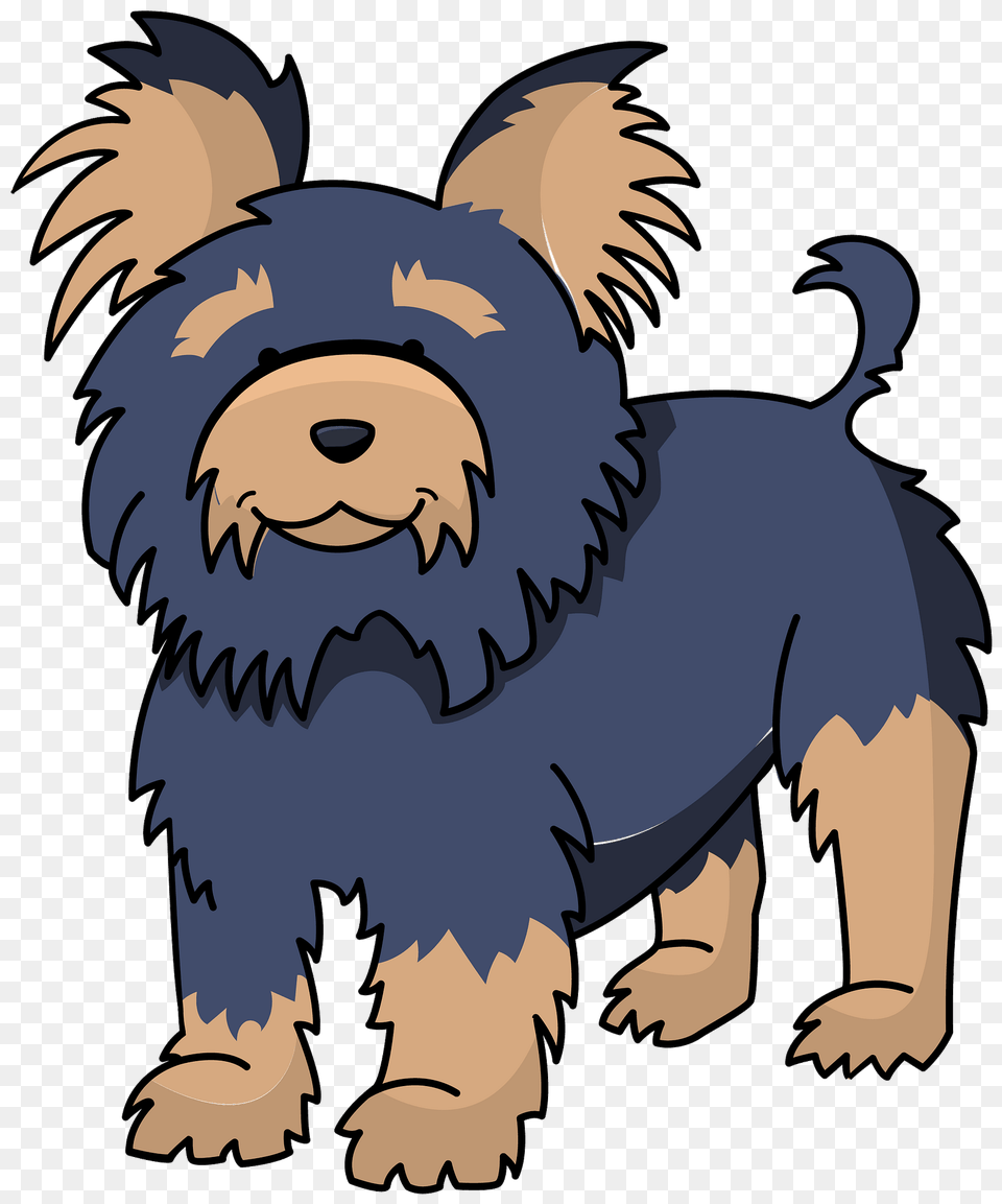 Yorkshire Terrier Clipart, Animal, Pet, Mammal, Dog Free Png