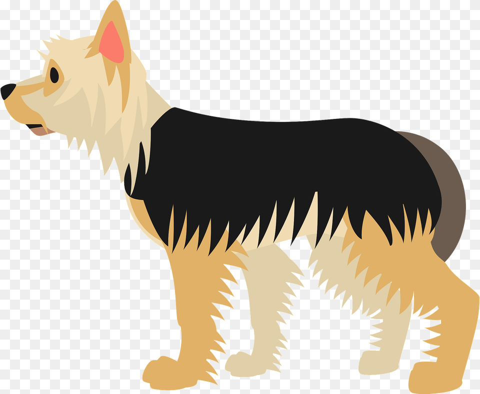 Yorkshire Terrier Dog Clipart, Animal, Canine, Pet, German Shepherd Free Png