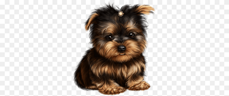 Yorkshire Terrier Perros Yorkie Cartoons, Animal, Canine, Dog, Mammal Free Png