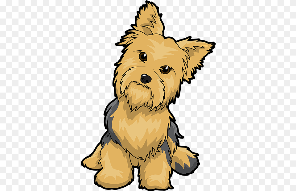 Yorkshire Terrier Puppy Maltese Dog English Toy Terrier Yorkshire Terrier Graphic Cute, Baby, Person, Animal, Canine Free Transparent Png