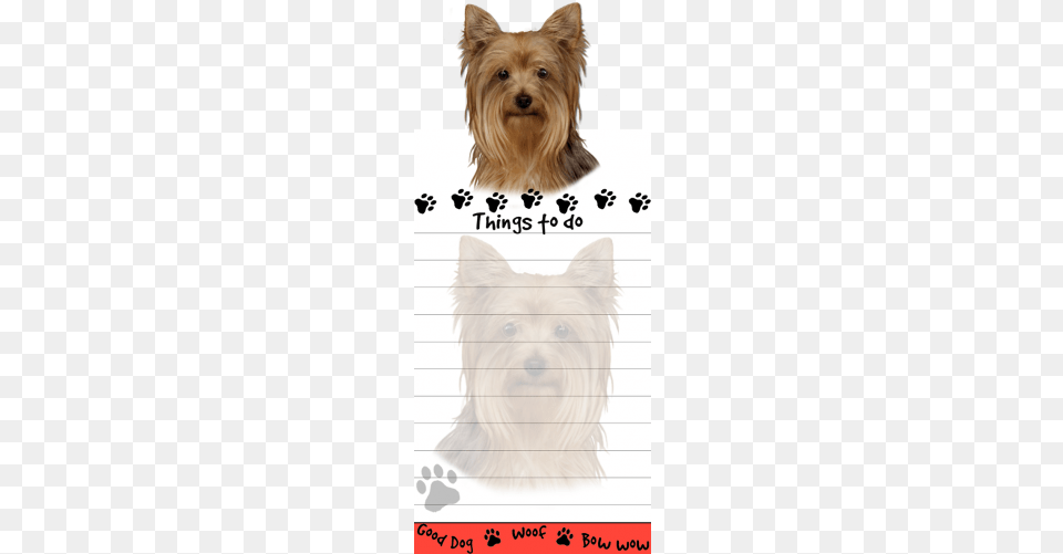 Yorkshire Terrier Yorkie List Stationery Notepad Yorkie Pet Lovers Magnetic To Do List Pad And Easy, Animal, Canine, Dog, Mammal Free Png Download