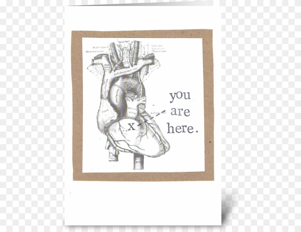 You Are Here Anatomical Heart Greeting Card Valentine39s Day Medical Puns, Page, Text, Baby, Person Png