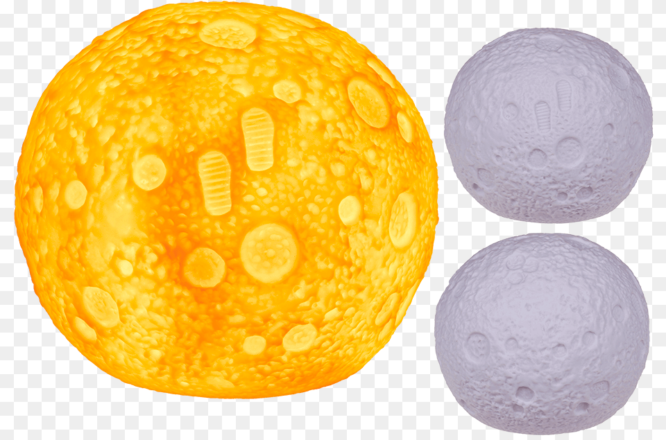 You Are Here Sphere, Citrus Fruit, Food, Fruit, Orange Free Png