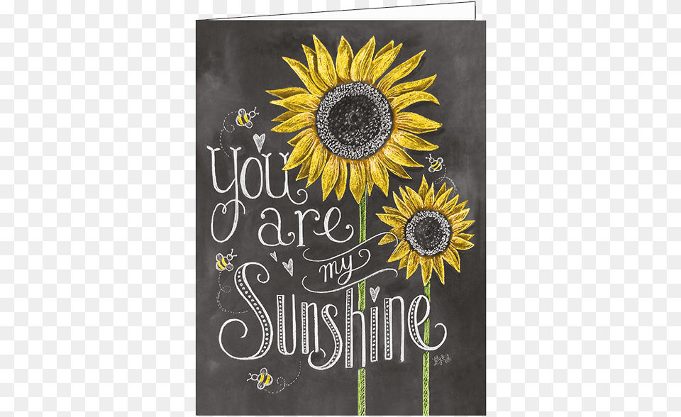 You Are My Sunshine, Flower, Plant, Sunflower, Blackboard Free Transparent Png