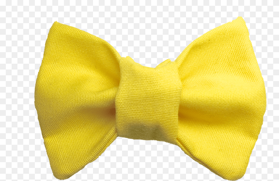 You Are My Sunshine Cat Bow Tie, Accessories, Bow Tie, Formal Wear Png