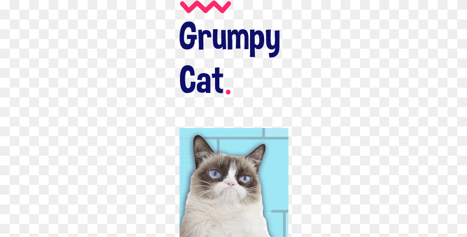 You Can Collect Emojis Or Have The Highest Ranking Official Grumpy Cat Quotes Hard Back Case, Animal, Mammal, Pet, Siamese Free Transparent Png