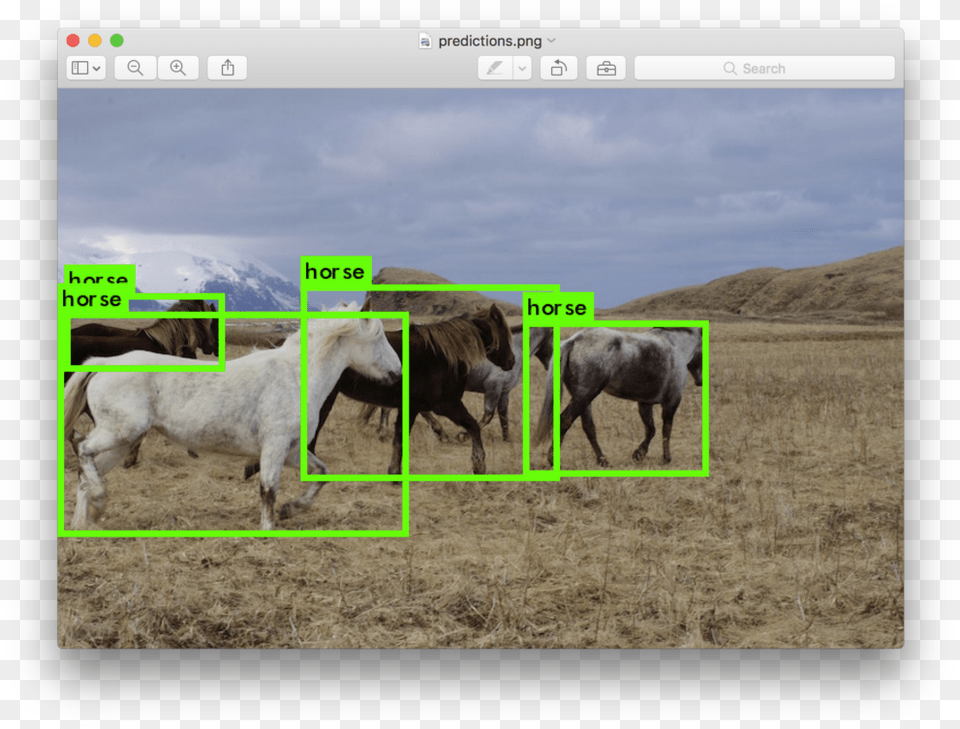 You Can Download The Weights And Start Detecting Horses, Rural, Ranch, Pasture, Outdoors Png Image