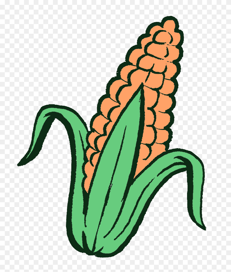 You Dont Know Gmos, Corn, Food, Grain, Plant Png Image