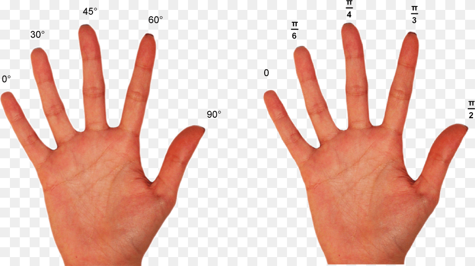 You Hand, Body Part, Finger, Person, Wrist Free Png