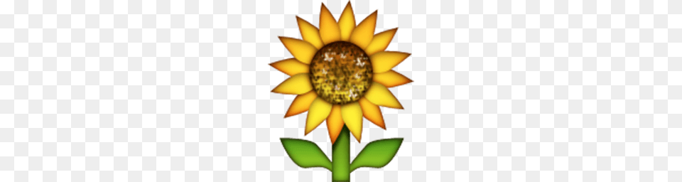 You Seached For Flowers Emoji, Flower, Plant, Sunflower Png