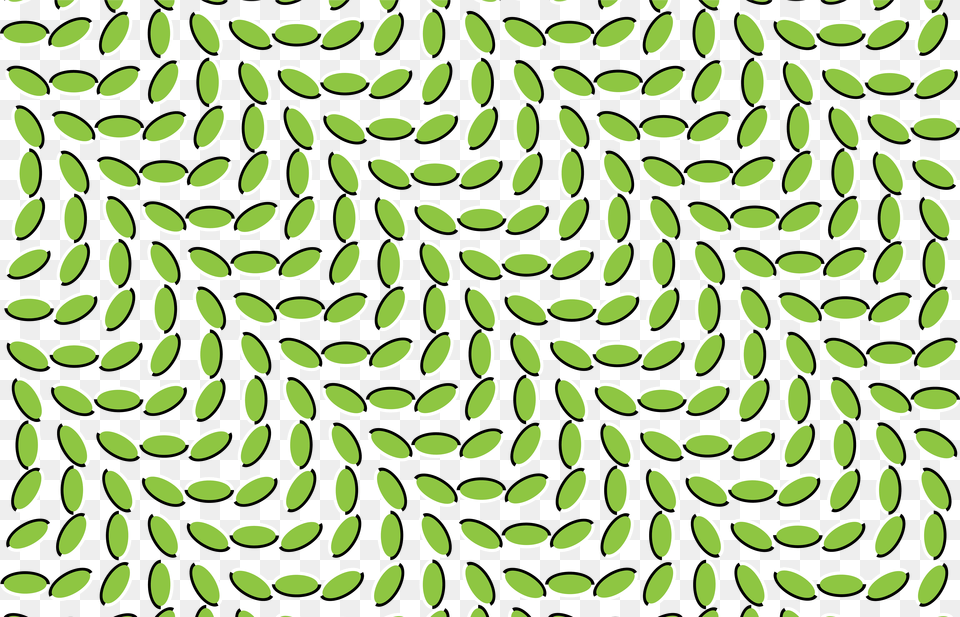 You See When Your High, Pattern, Texture, Home Decor, Green Free Png