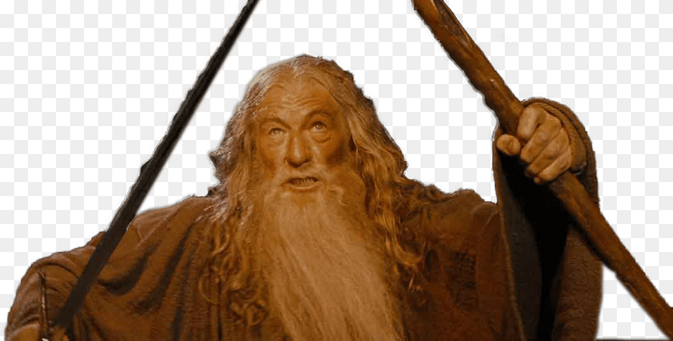 You Shall Not Pass, Adult, Bronze, Female, Person Free Png