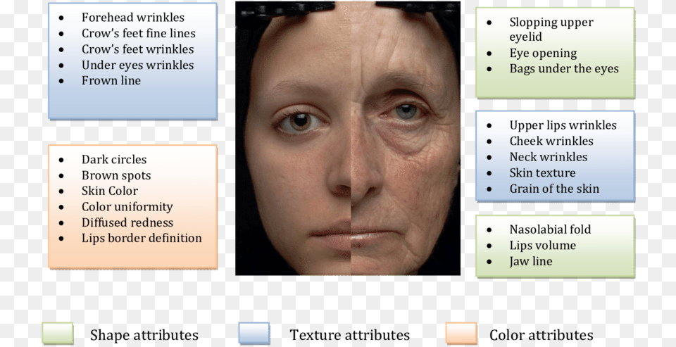 Young And An Old Woman Face Difference Between Wrinkles And Fine Lines, Head, Sad, Person, Frown Png