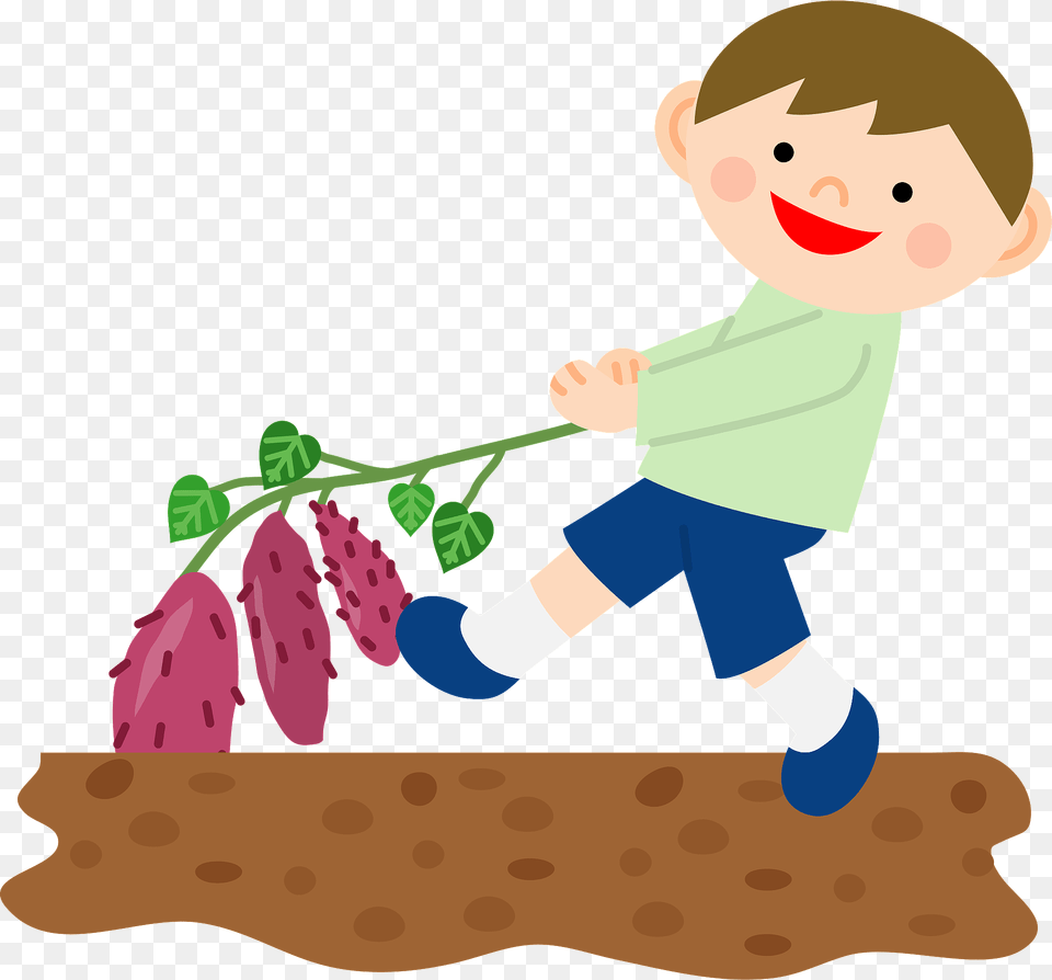 Young Boy Pulling Up Sweet Potatoes Clipart, Art, Graphics, Baby, Person Free Png Download