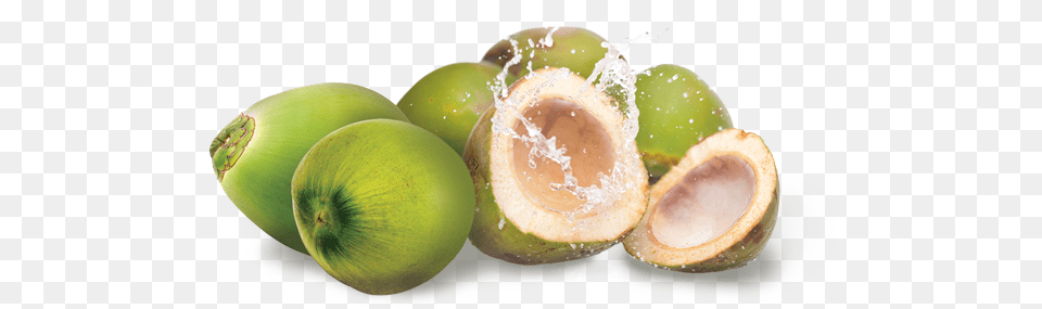 Young Coconut Image Background Coconut, Food, Fruit, Plant, Produce Free Transparent Png