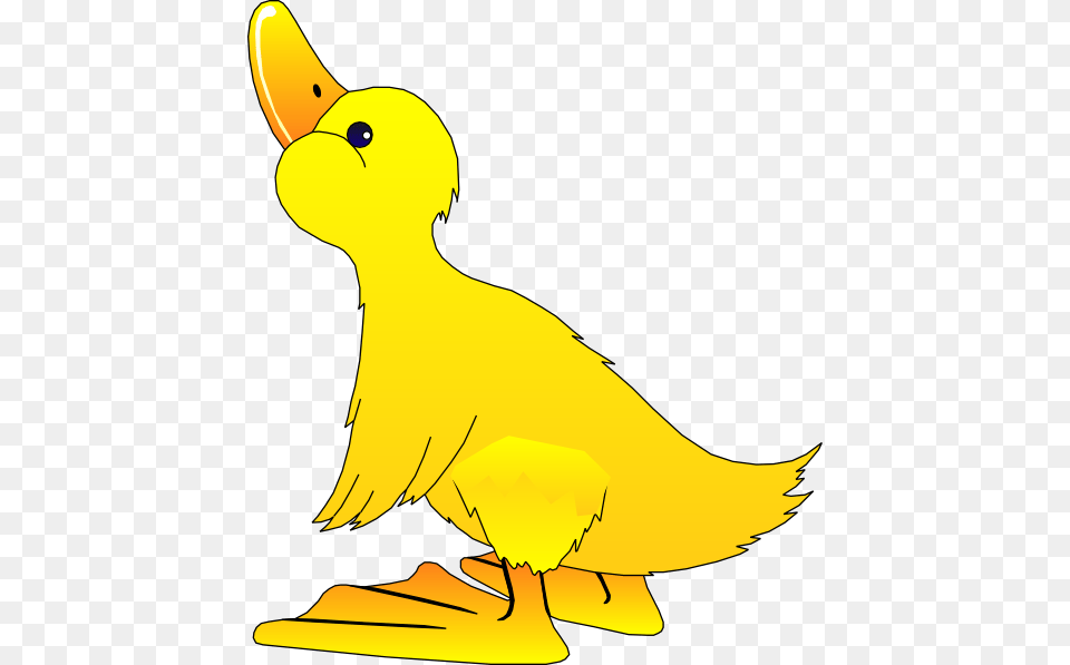 Young Duck Clip Art, Animal, Beak, Bird, Kangaroo Free Png