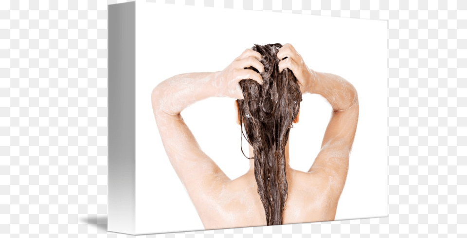 Young Fit Woman In Shower Washing Her Body By B D S Woman Shower, Person, Adult, Female, Bathing Png Image
