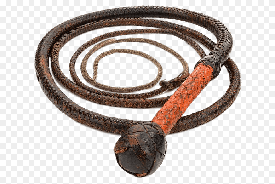 Young Indiana Jones Whip Png Image