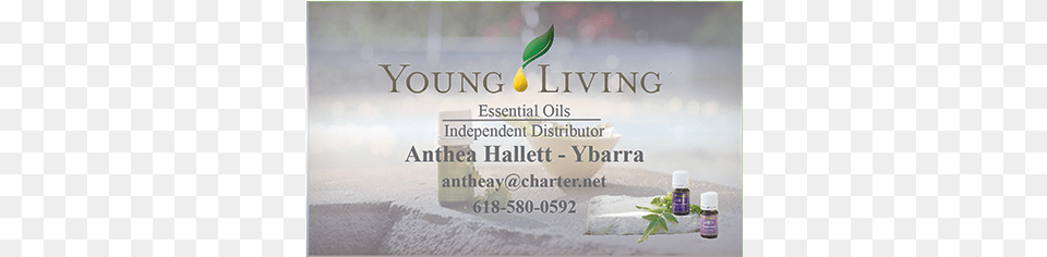 Young Living Business Card Template Oils Young Living Business Card Example, Herbal, Herbs, Plant, Advertisement Png