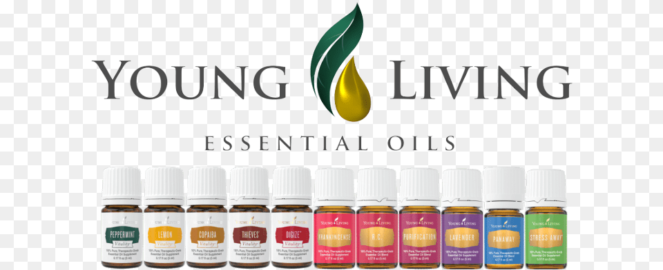 Young Living Essential Oils Christmas, Paint Container Png Image